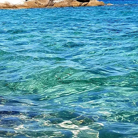 Stratos * Sarti